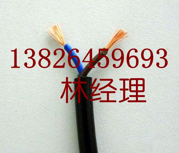 广东珠江力缆电缆